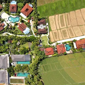 Dea , Canggu (Bali) Indonesia